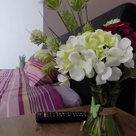 Colosseum בית אירוח