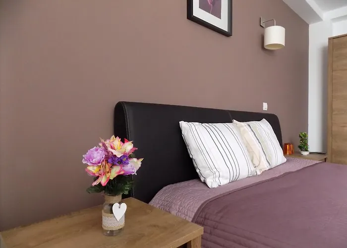 Проживание в семье Colosseum *