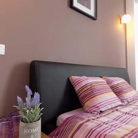 Colosseum Homestay Bucharest