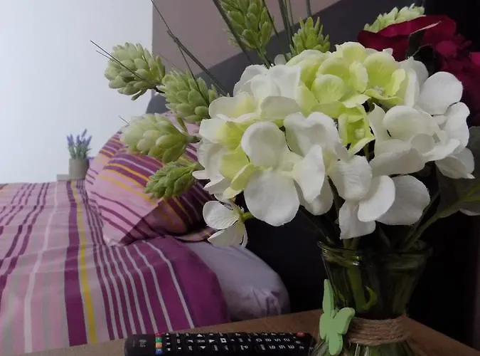 Colosseum Homestay szállás