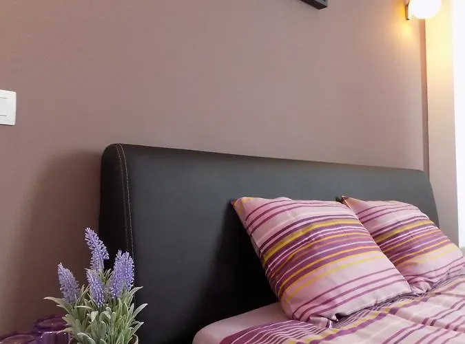 Colosseum Homestay szállás Bukarest